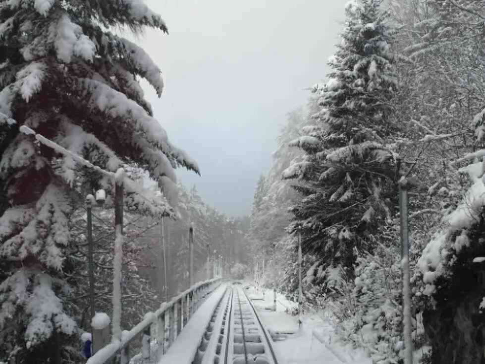 winter road